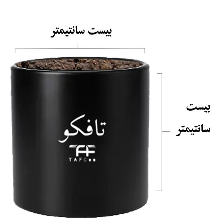 محصول نمونه تستی گیاه طبیعی مانسترا تافکو مدل پنجه شیری کد 2x