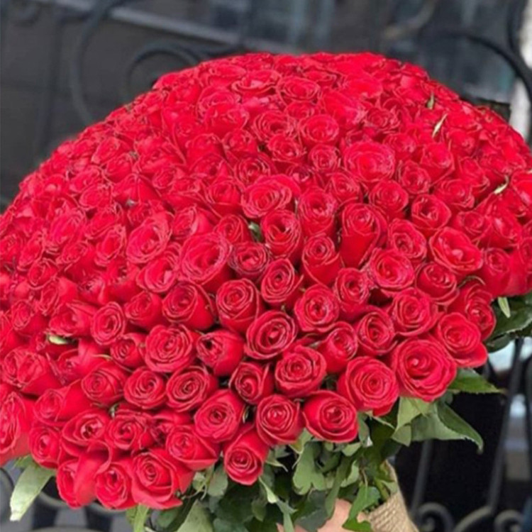 محصول نمونه تستی دسته گل رز مدل DG-11001