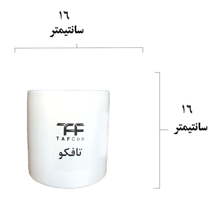 محصول نمونه تستی گل طبیعی سانسوریا ابلق تافکو مدل پا کوتاه کد s2
